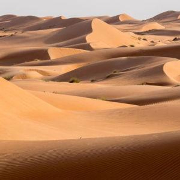 Desert Nights Camp in Oman on our honeymoon