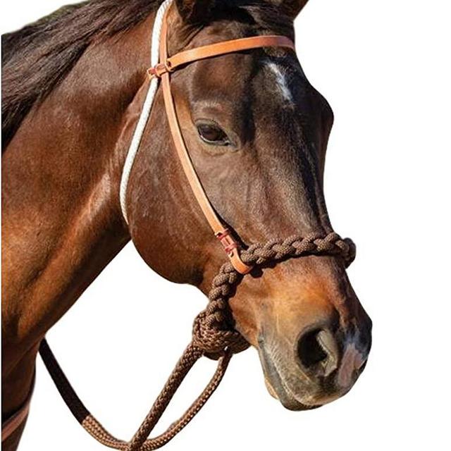 Professional's Choice 8168hl loping hackamore HORSE