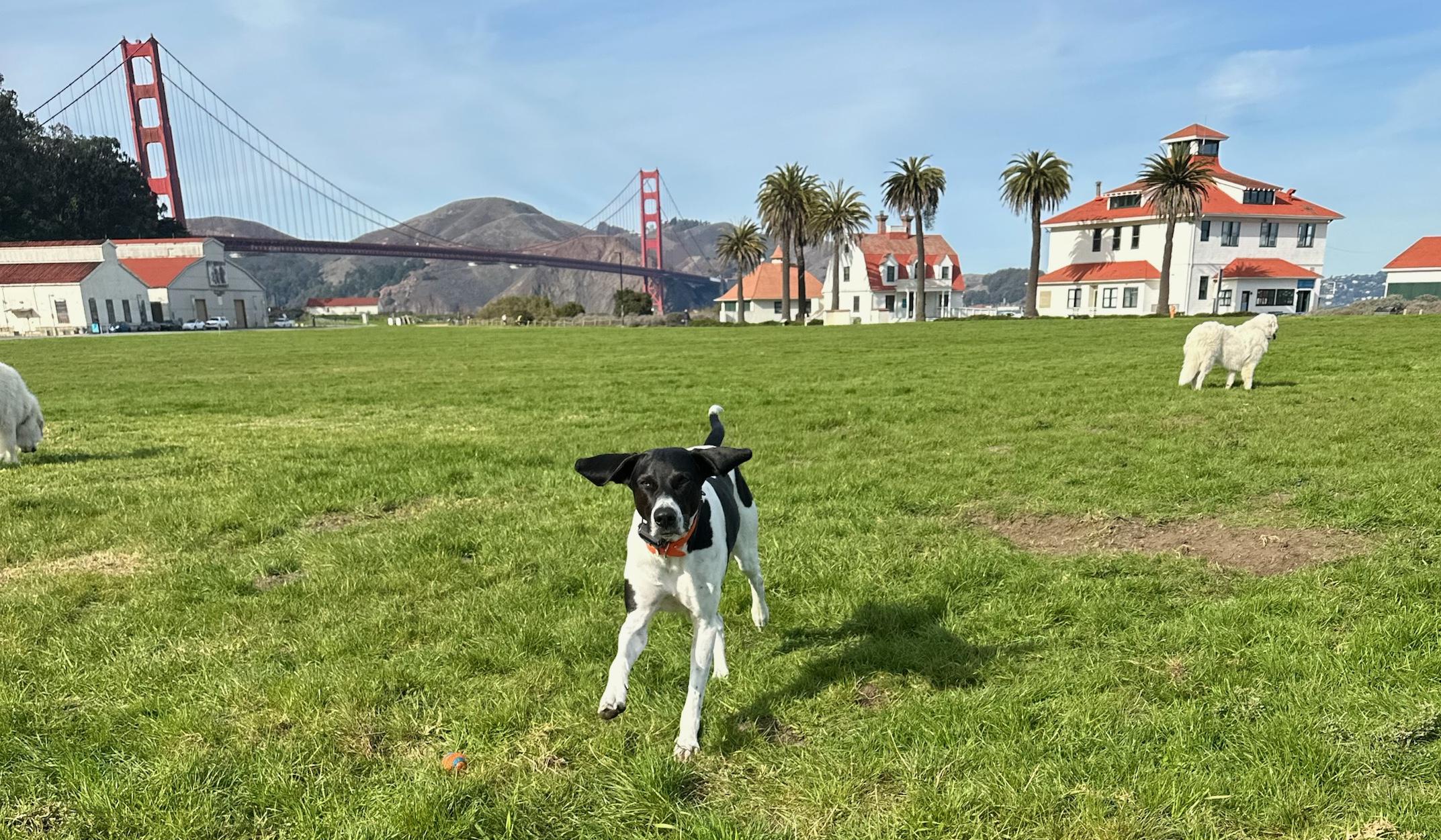 The Wedding Website of Haley Foust and Robert Winder