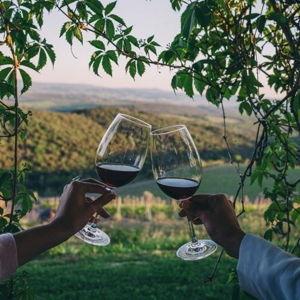Wine Tasting in Bordeaux on our Honeymoon