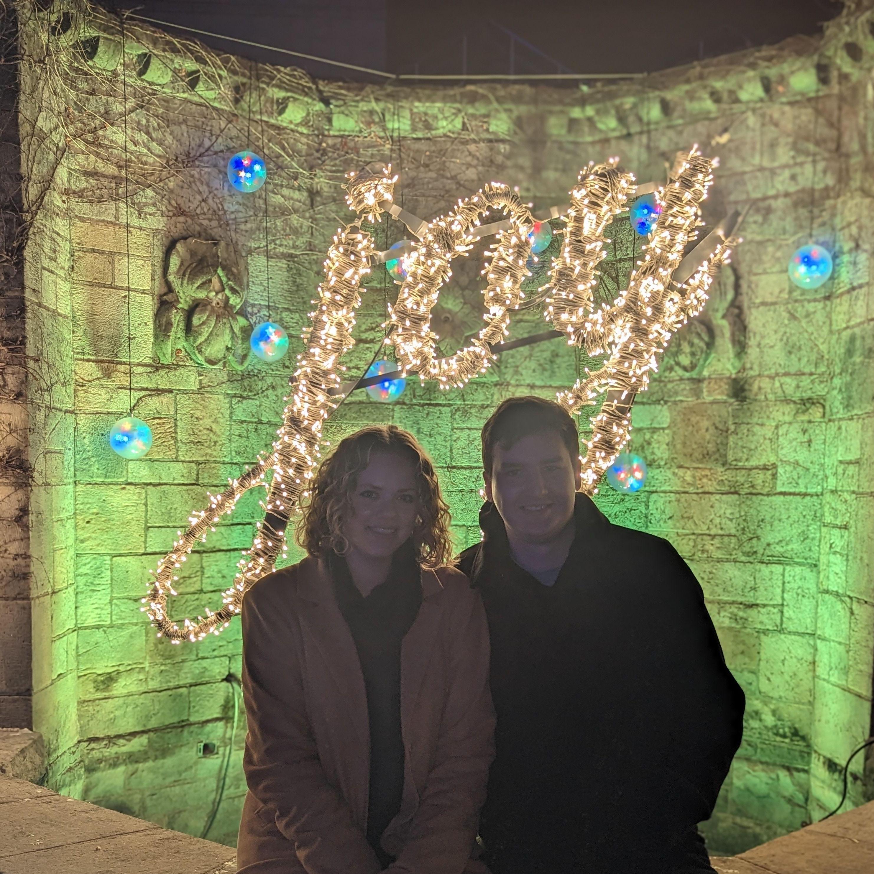 Christmas display at Phipps Botanical Garden