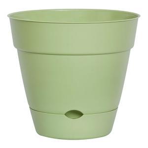 Newbury 16 in. x 16 in. Lotus Green Self-Watering Poly Planter