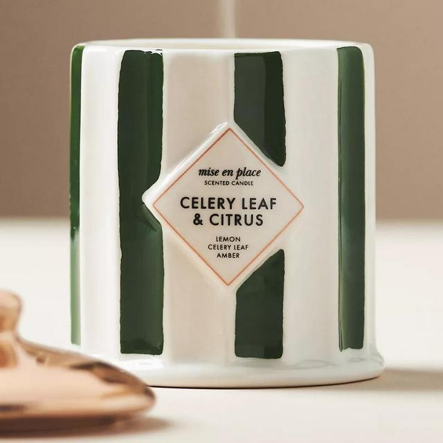 mise en place Woody Celery Leaf & Citrus Ceramic Candle