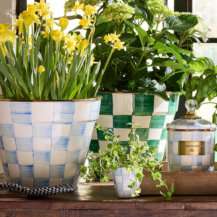 MacKenzie-Childs, Sky Check Herb Pot, Set of 3 | Zola