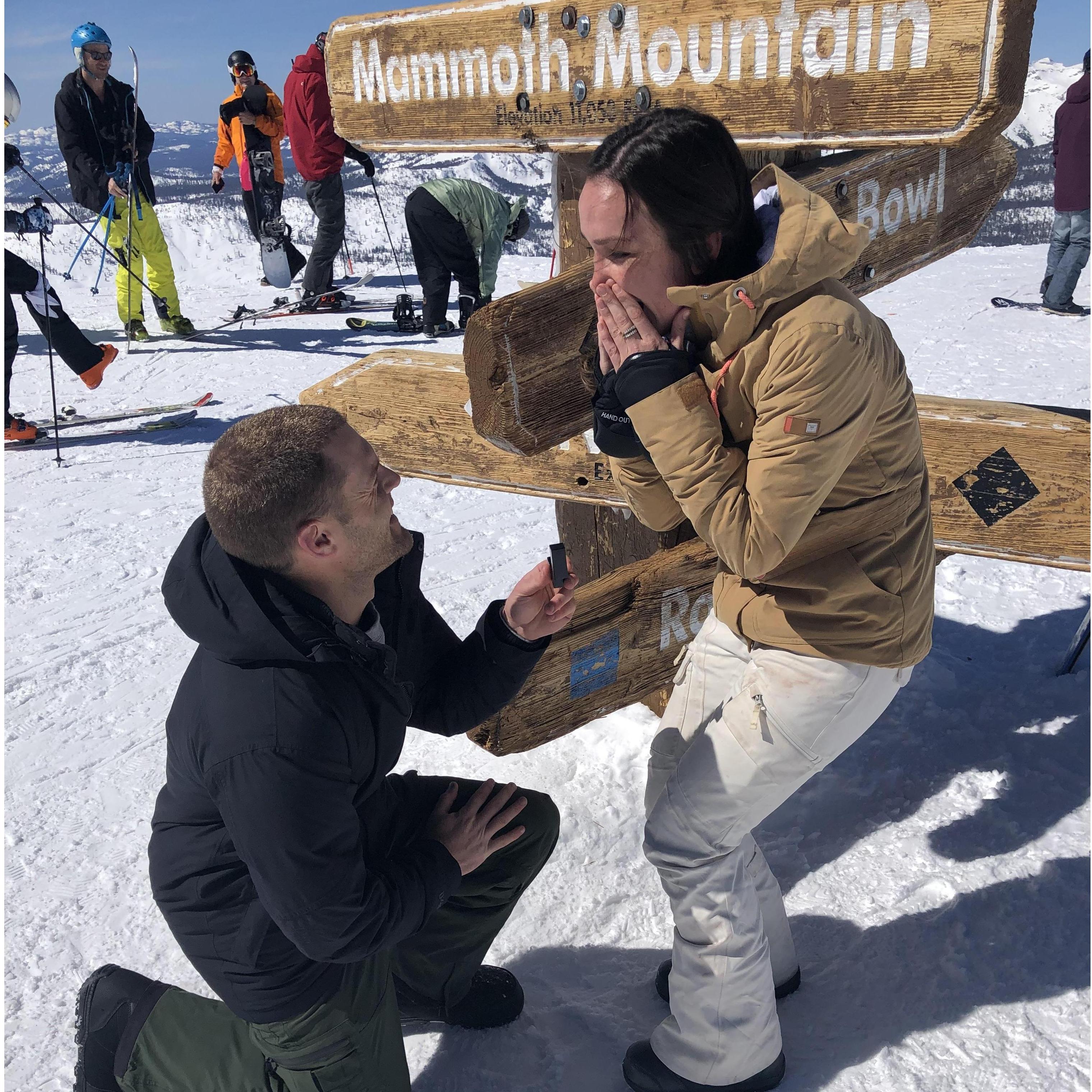 Right when Andrew surprised Megan and got down on one knee!