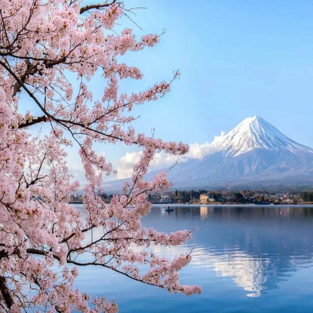 Japan Honeymoon Fund