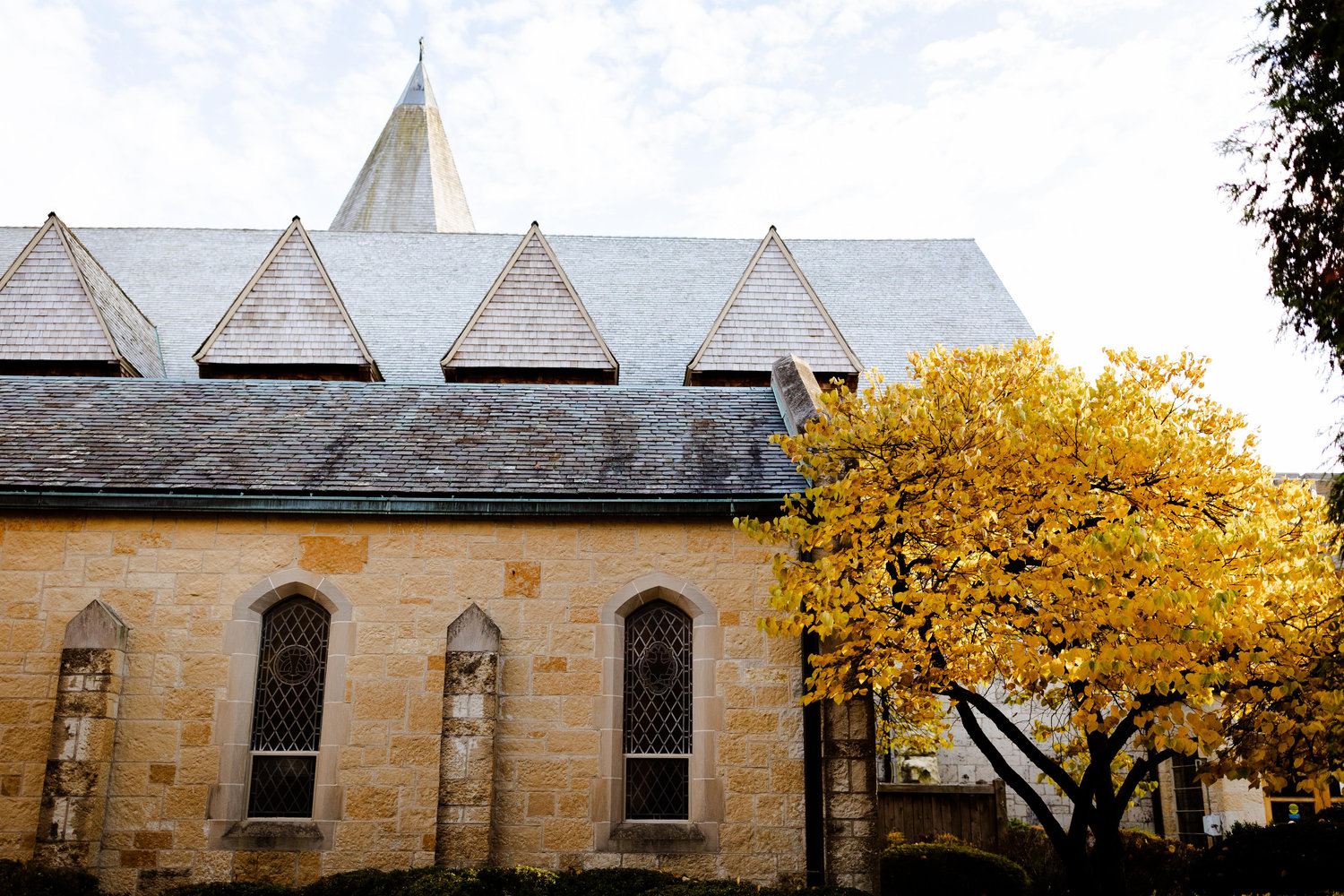 The Wedding Website of Sallyan Rusnak and Jack Green