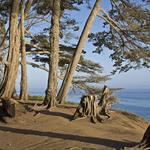 Douglas Family Preserve