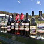 Stoney Brook Vineyards