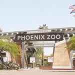 Phoenix Zoo