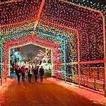 Lincoln Park Zoolights