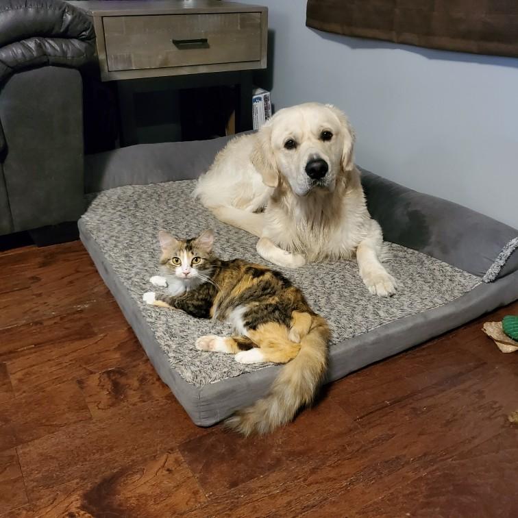 BFFs