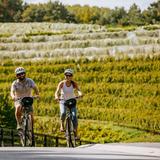 Grand Traverse Bike Tours