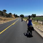 Los Olivos