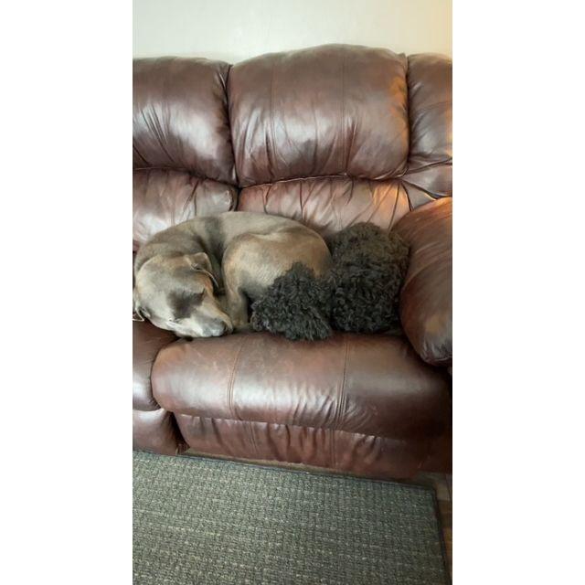 Our two "kids"
