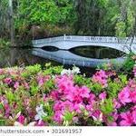 Magnolia Plantation and Gardens