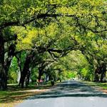 Audubon Park