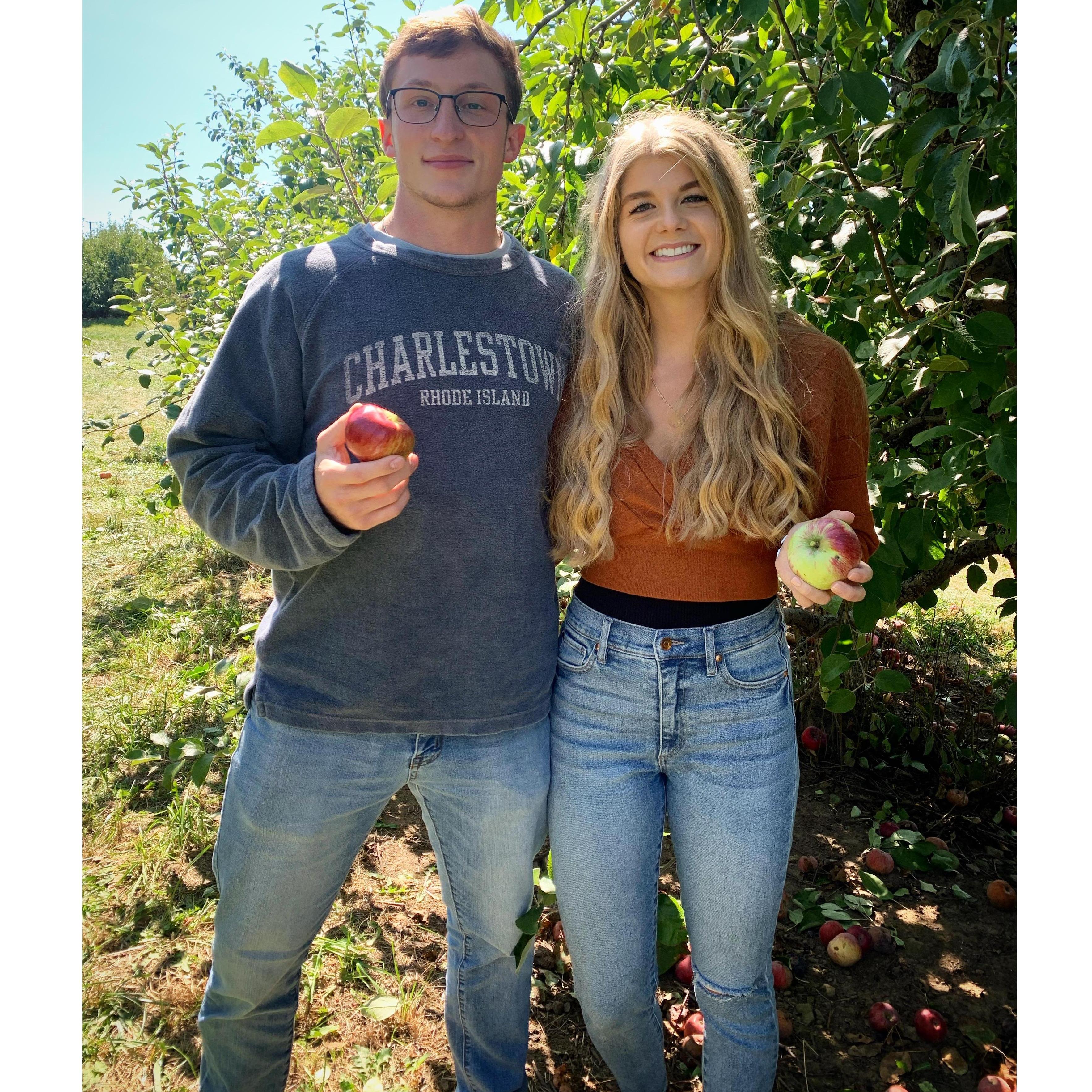 Apple Picking!