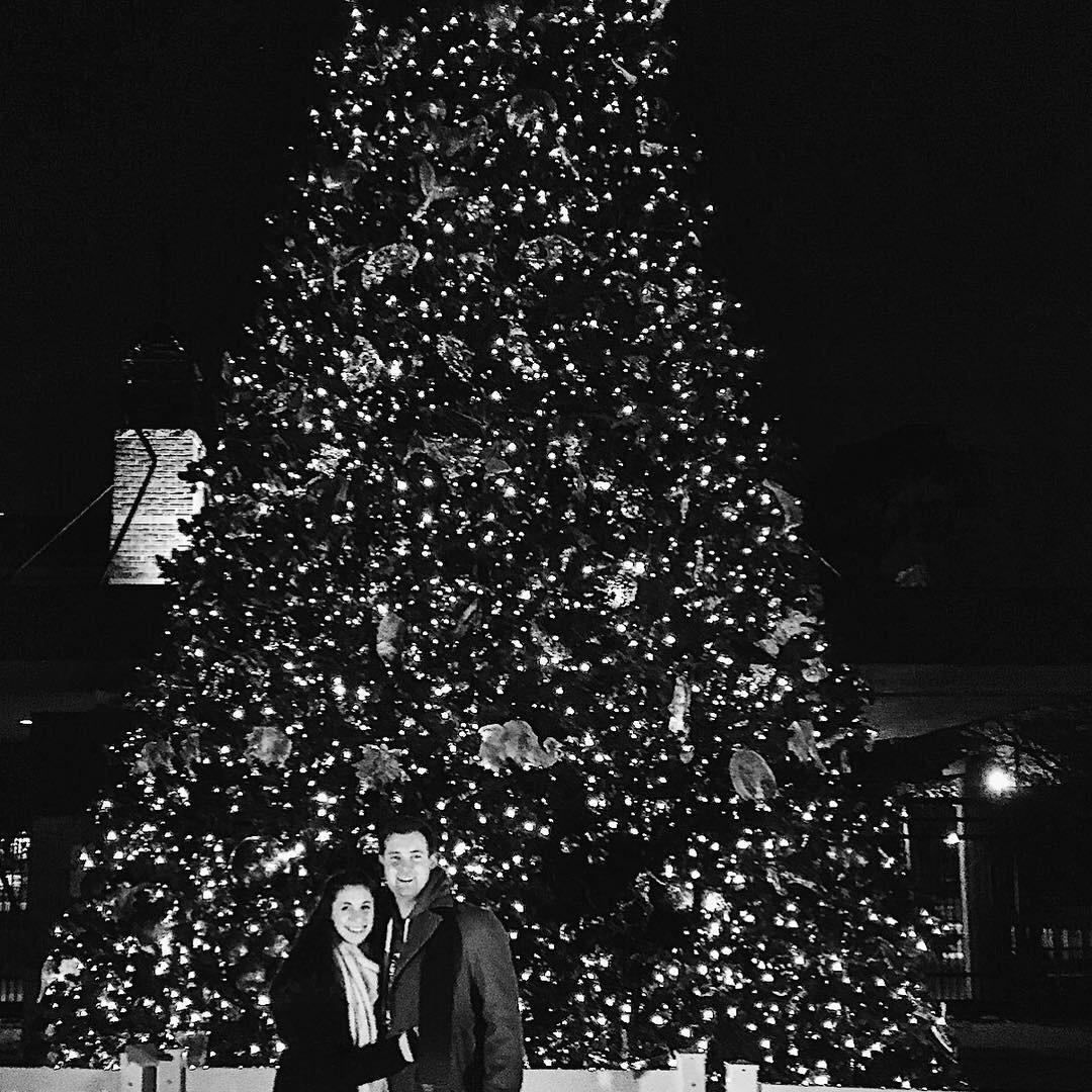 Houston Zoo Lights 2018