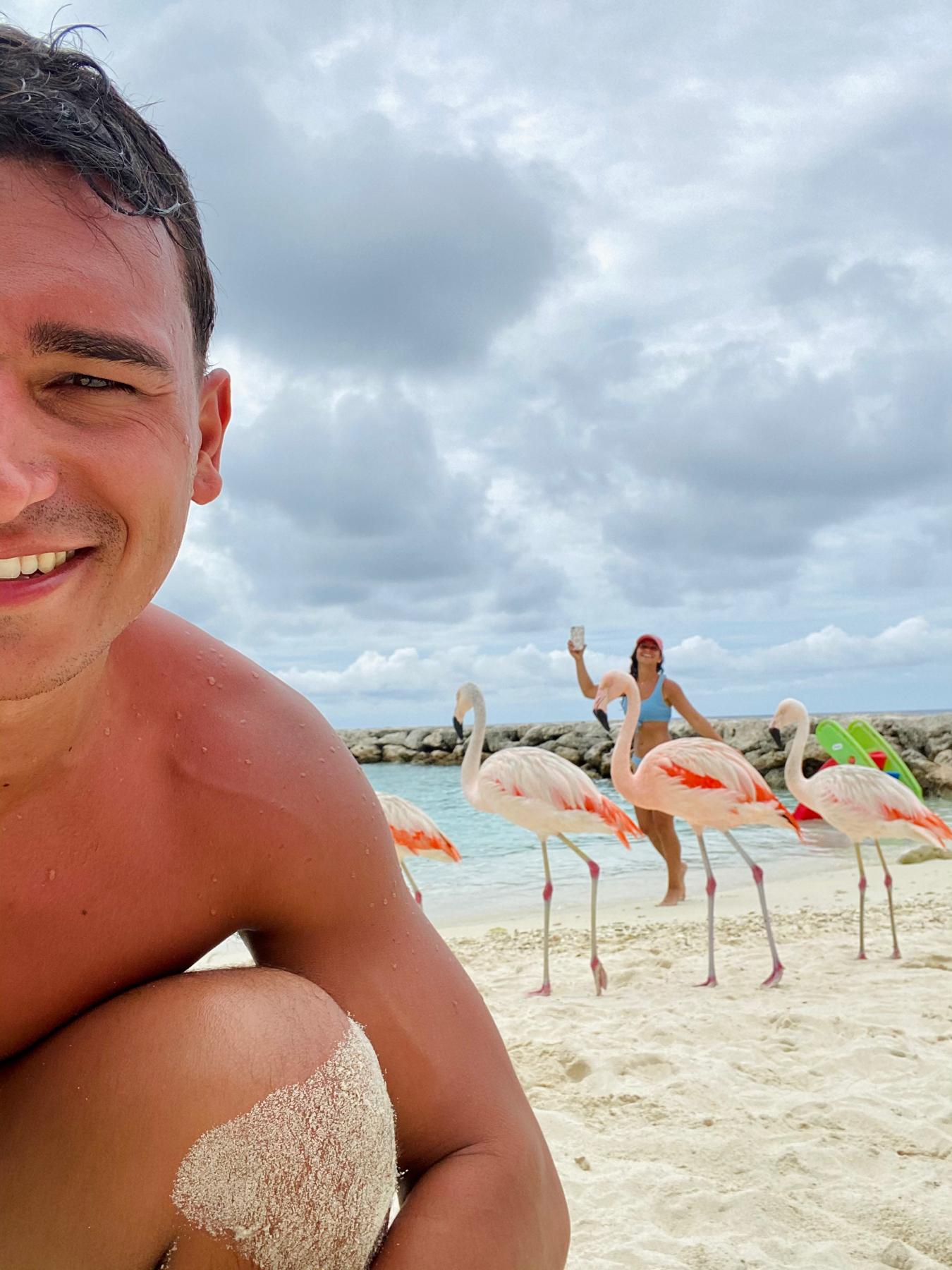 Playing with flamingos in Aruba