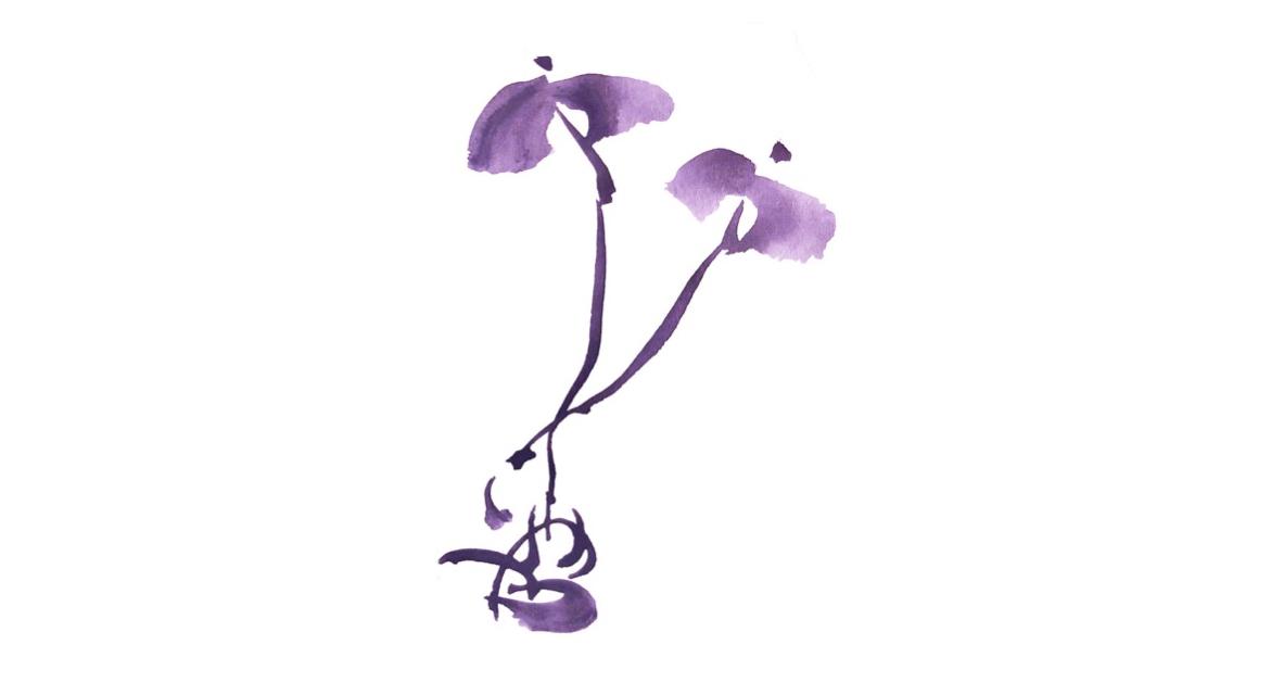 Footer image