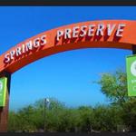 Springs Preserve