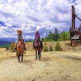 A & A Historical Horseback Riding