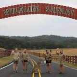 Wildlife Safari