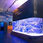 Mokupāpapa Discovery Center