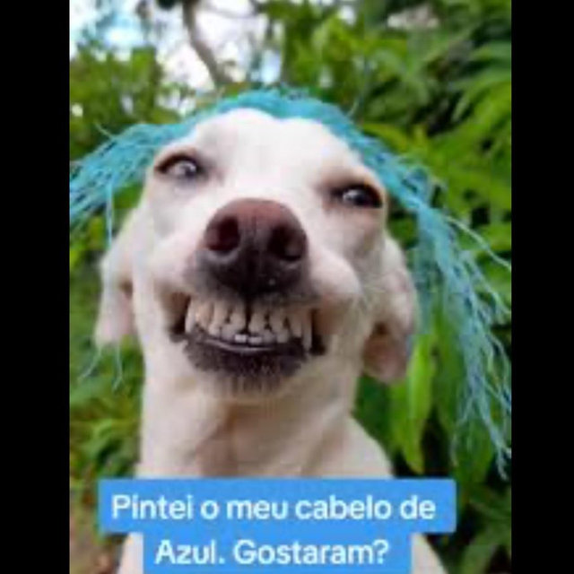 Tinta azul do cabelo da Fê