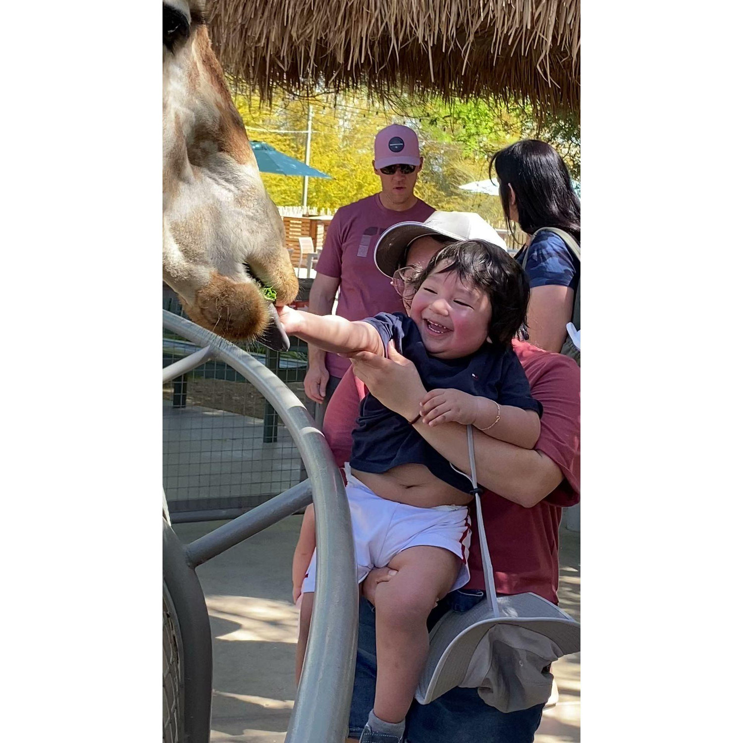 The Living Desert Zoo and Gardens | Jacob made a friend...a very big friend..