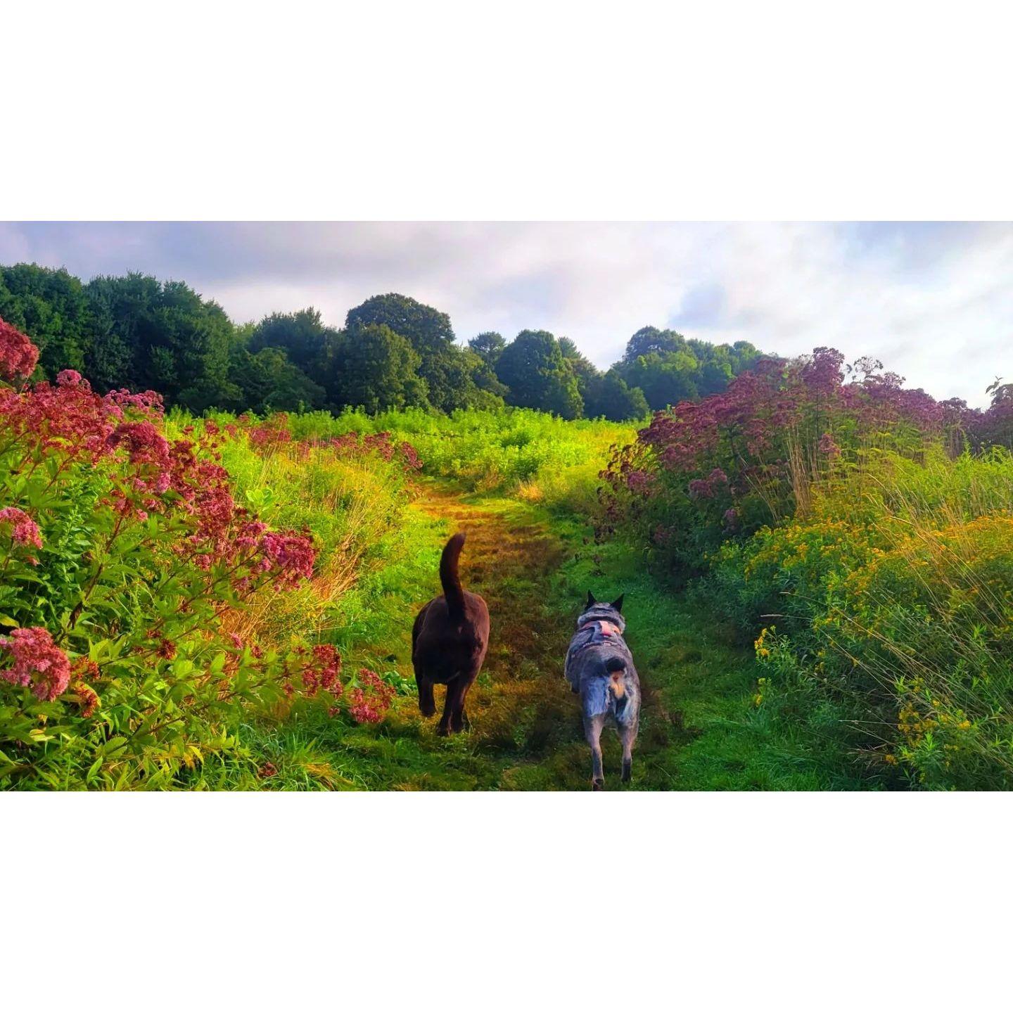 hiking with the girls