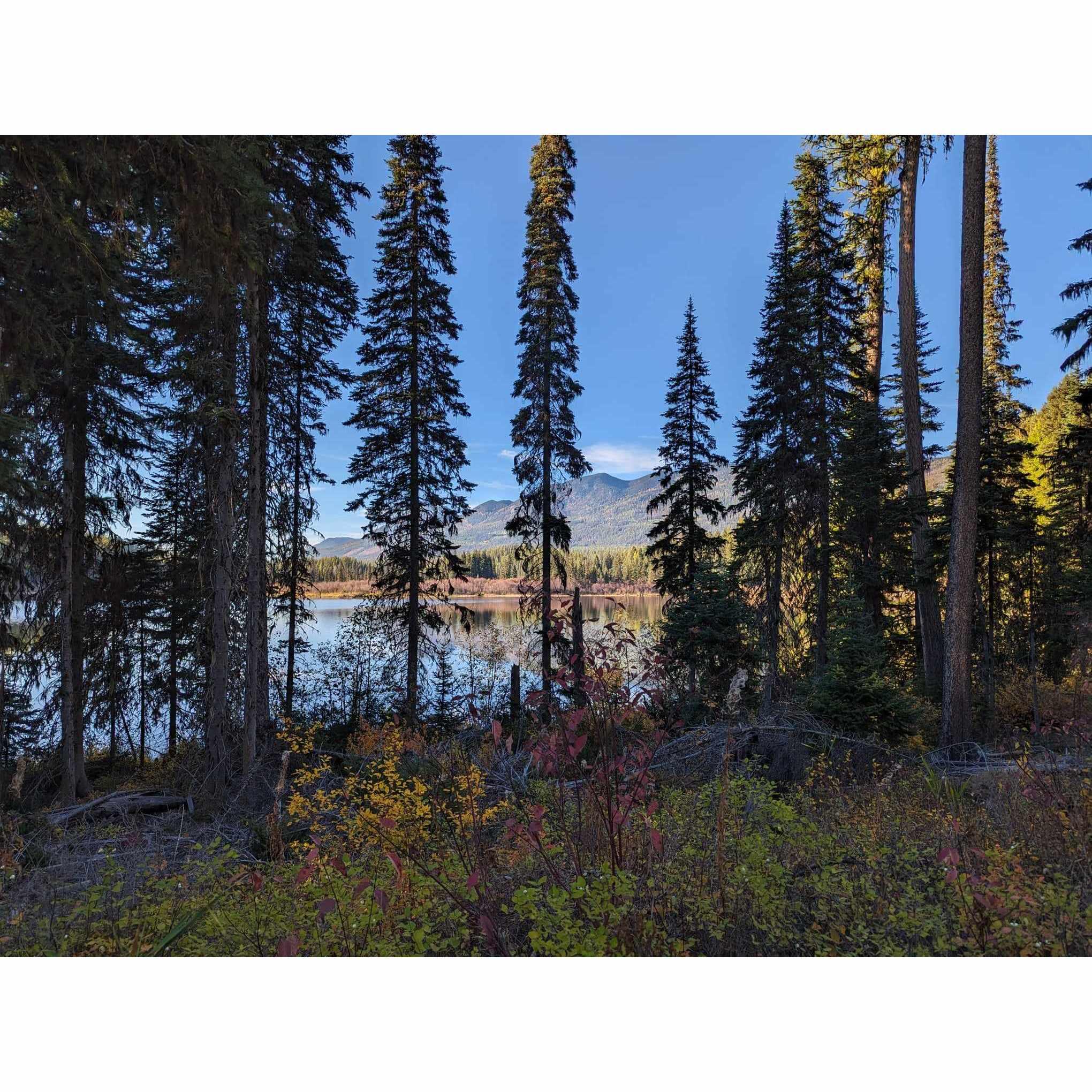 There is a lake on property with canoes, paddle boards, and a row boat for our use. So fun!