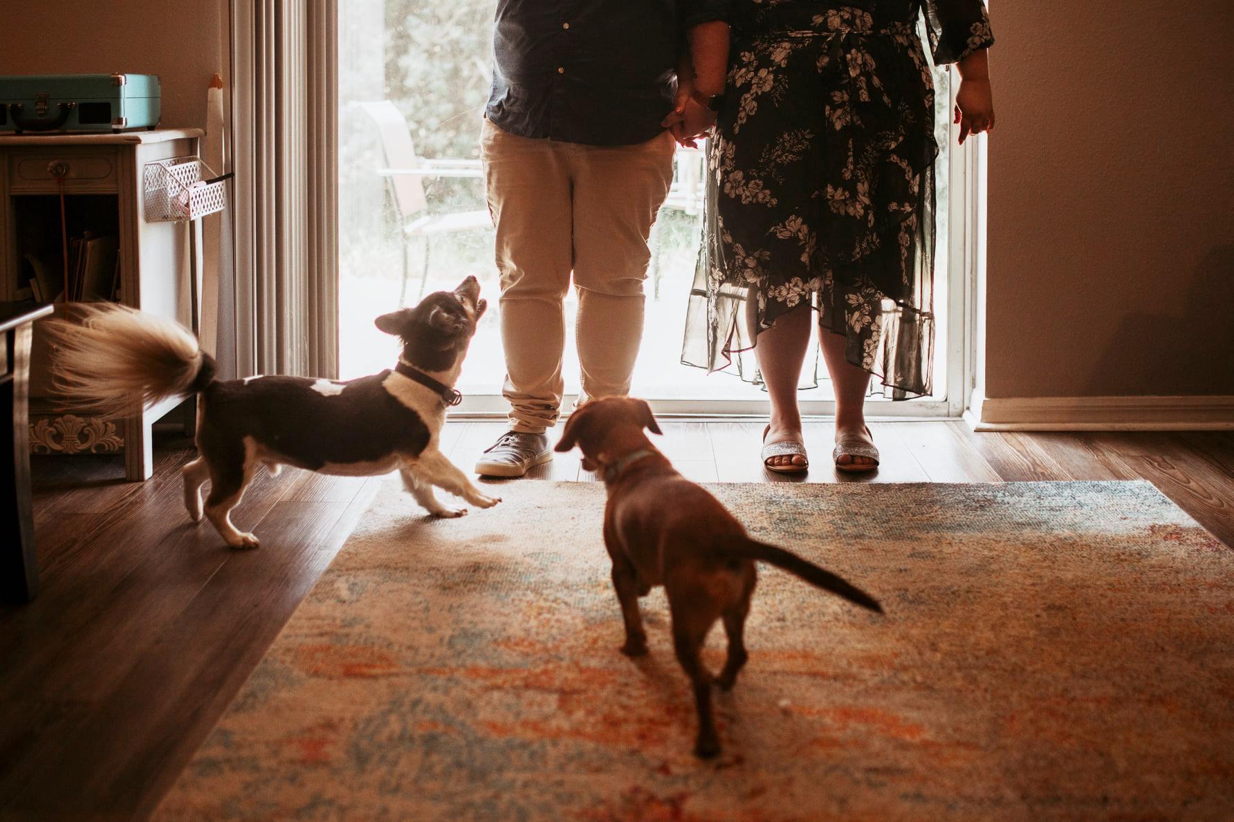 The Wedding Website of Kaitlyn Devereaux and Crissy Blunk