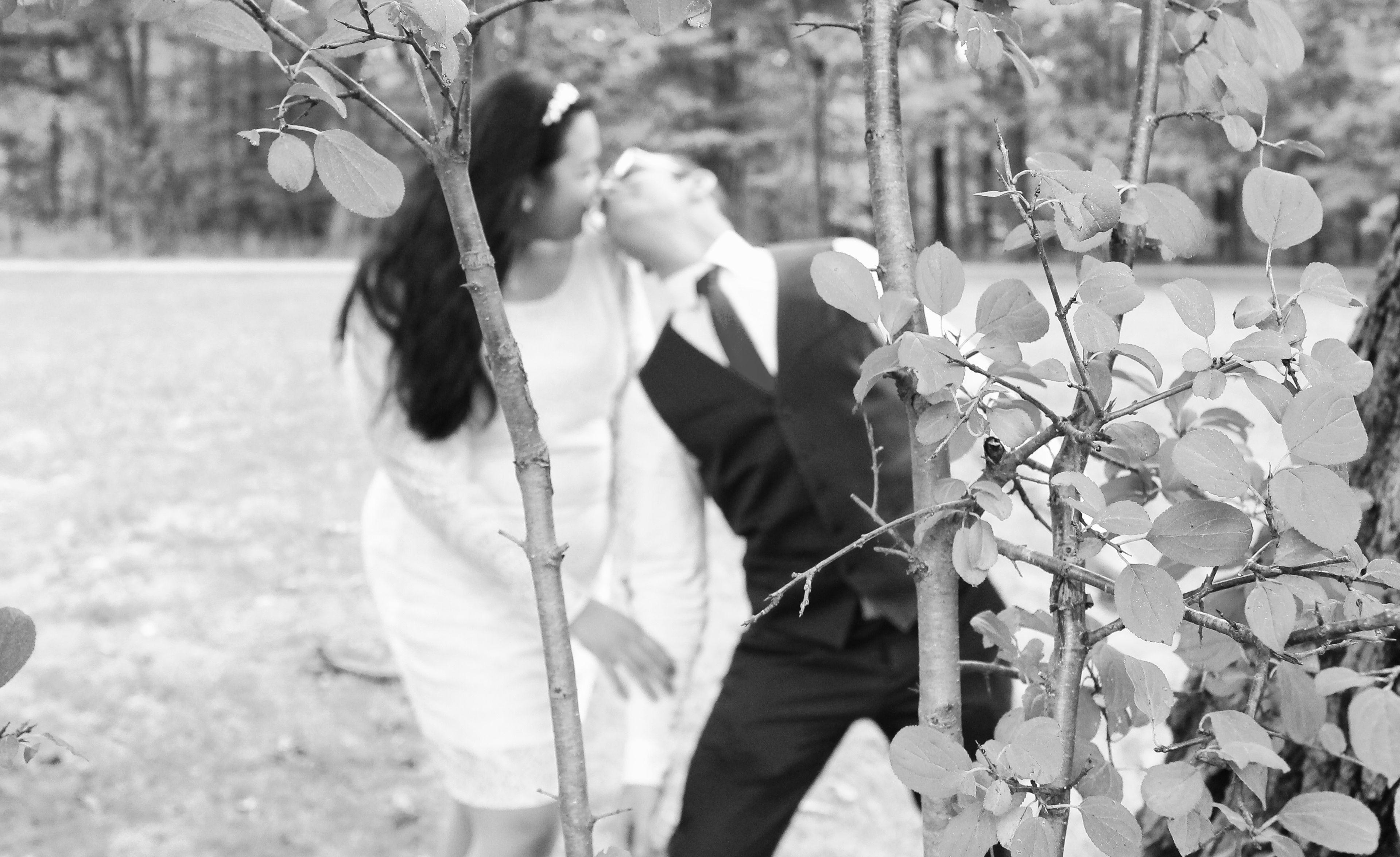 The Wedding Website of Tamyr Voigt and Kayvon Esteghamat