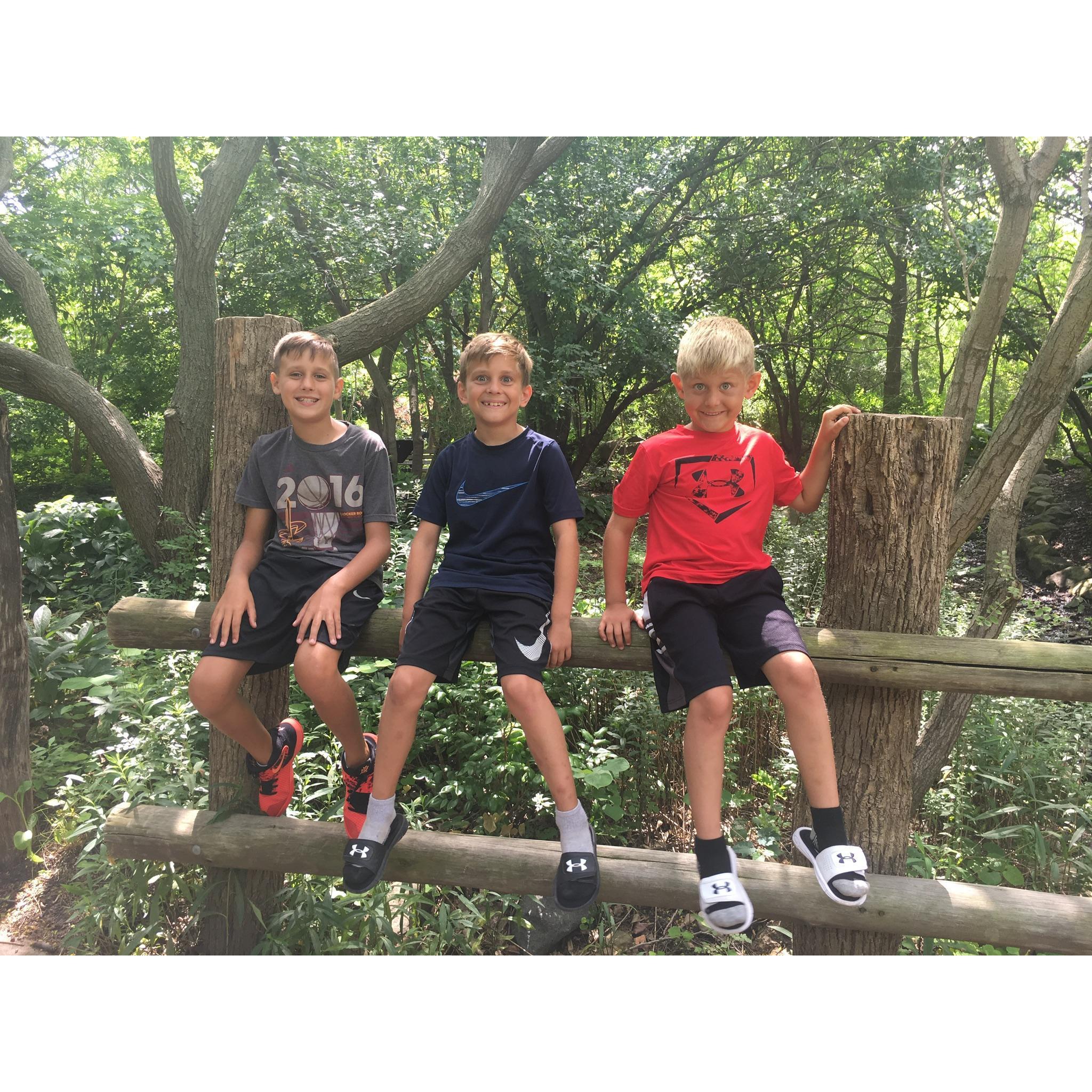 When our boys first started to get to know each other. Zoo, Summer 2017