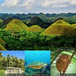 Guide to Bohol