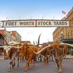 Fort Worth Stockyards Station