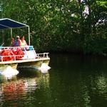 Black River Safari / J.Charles Swaby