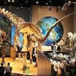Perot Museum of Nature and Science