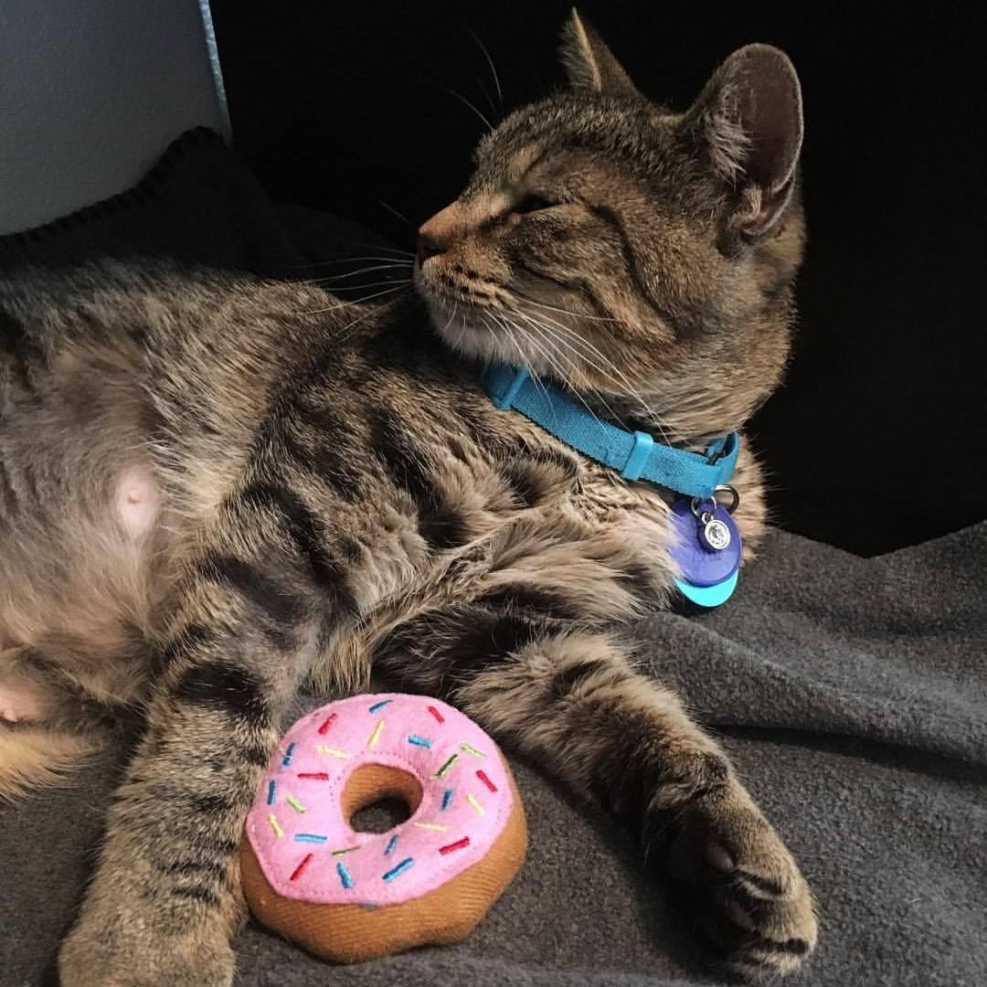 When the paparazzi is just too much.