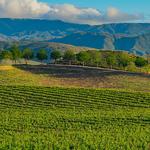 Temecula Valley Wine Country