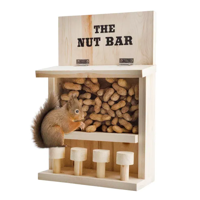 Esterno Nut Bar Squirrel Feeder; Funny Bar Stool Outdoor Squirrel Feeder