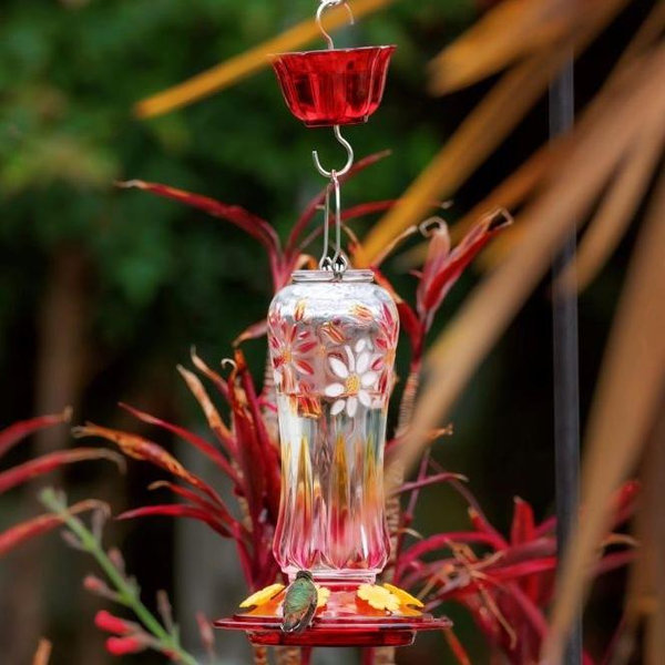 Kingsyard 25oz Leak Proof Glass Hummingbird Feeder with Ant Moat