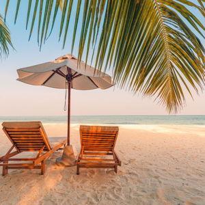 Honeymoon fund