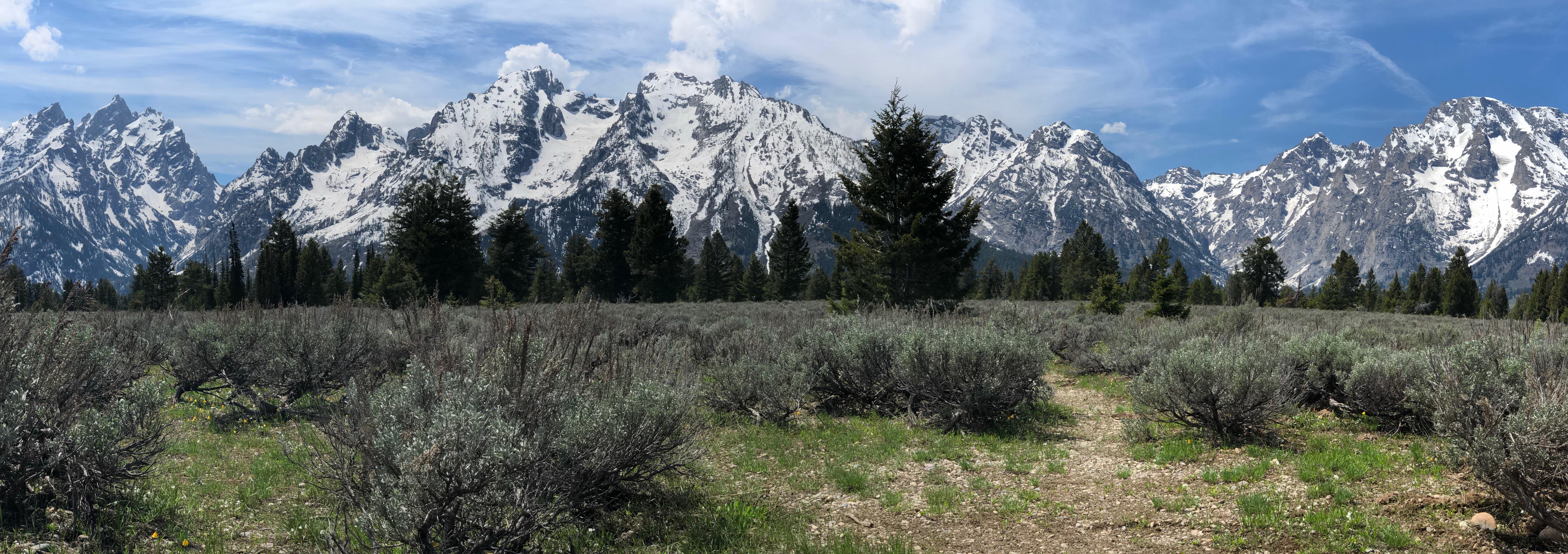 1091a166-bf05-48ec-96de-e0e54b88f253