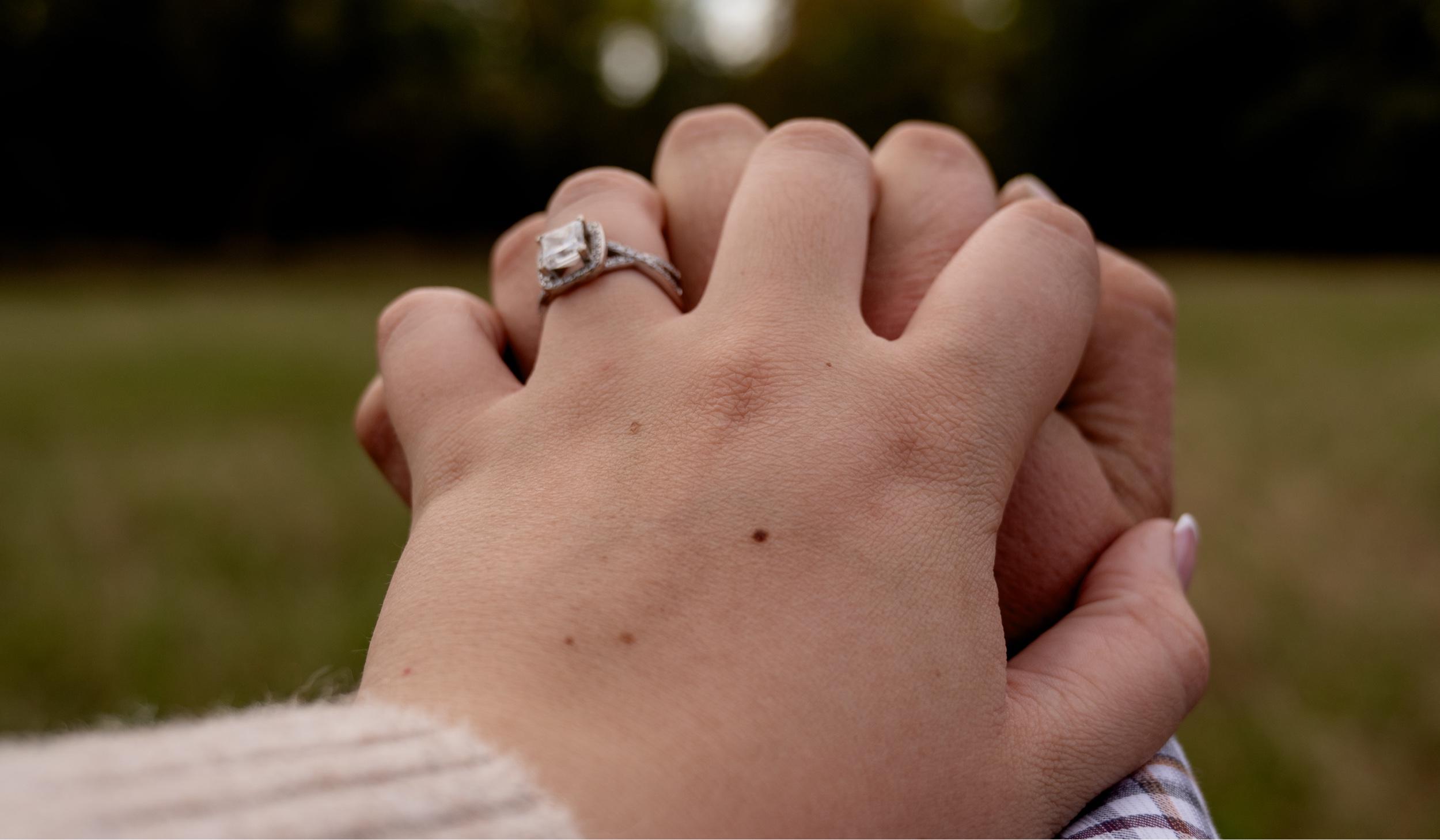 The Wedding Website of Brett Herman and Ibby Swords