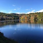 Bass Lake Trail