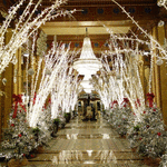 The Roosevelt New Orleans Christmas Lights