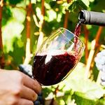The Wine Garden at Old Edwards